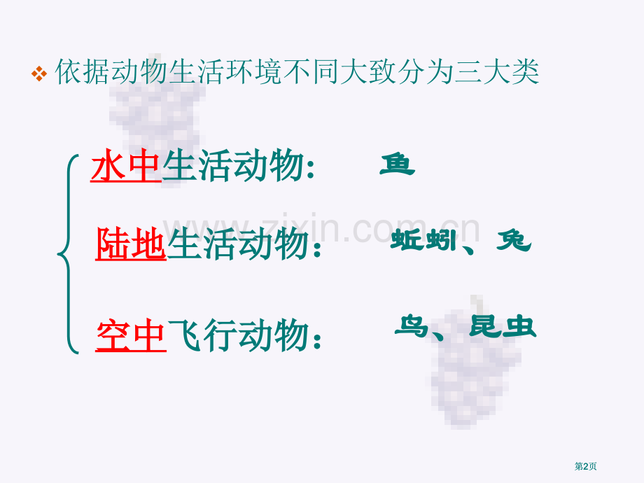 生物圈中的其他生物复习公开课一等奖优质课大赛微课获奖课件.pptx_第2页