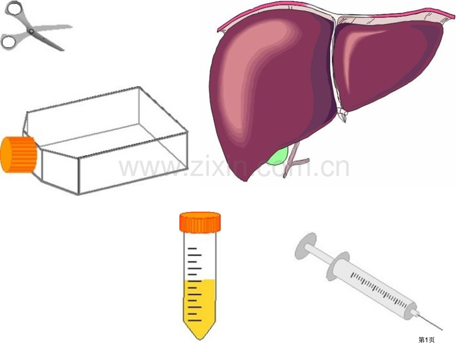 生物化学与分子生物学ppt图片素材scienceslide公开课一等奖优质课大赛微课获奖课件.pptx_第1页