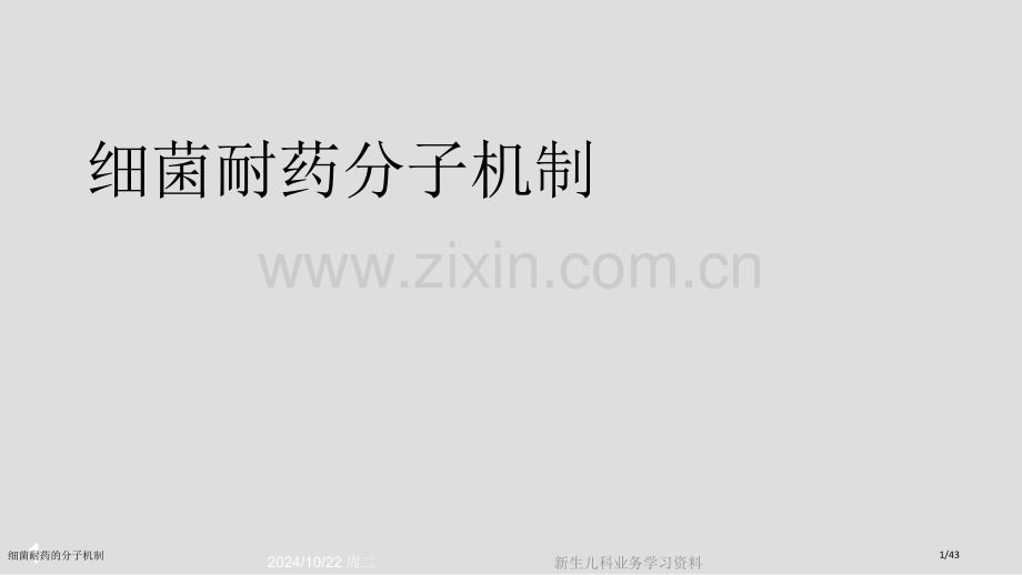 细菌耐药的分子机制.pptx_第1页