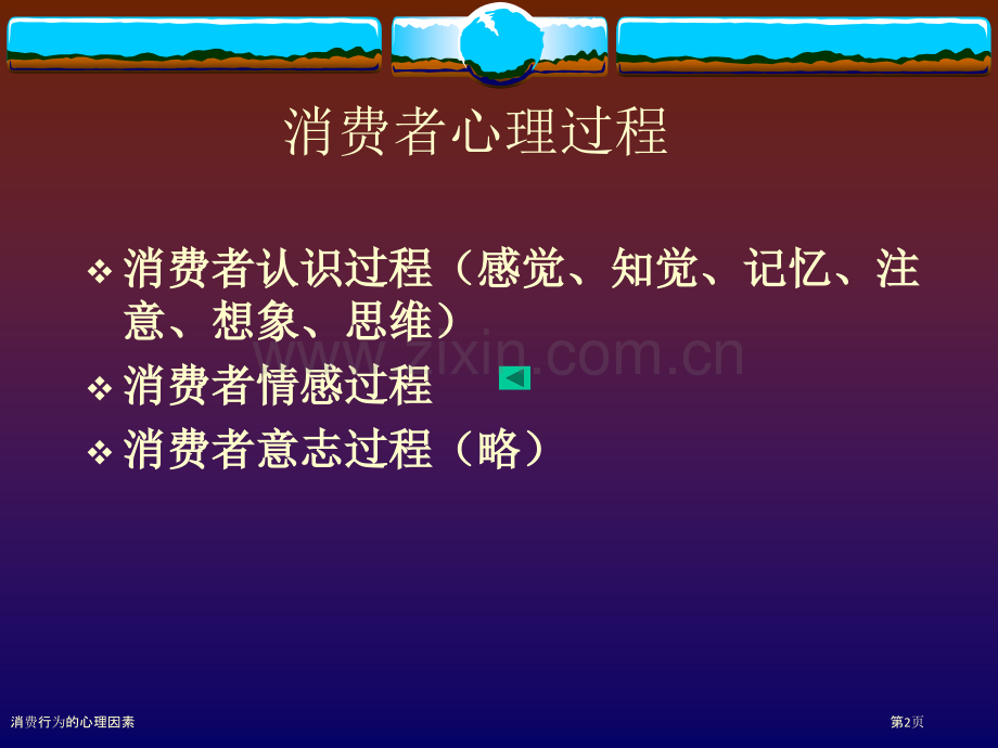 消费行为的心理因素.pptx_第2页