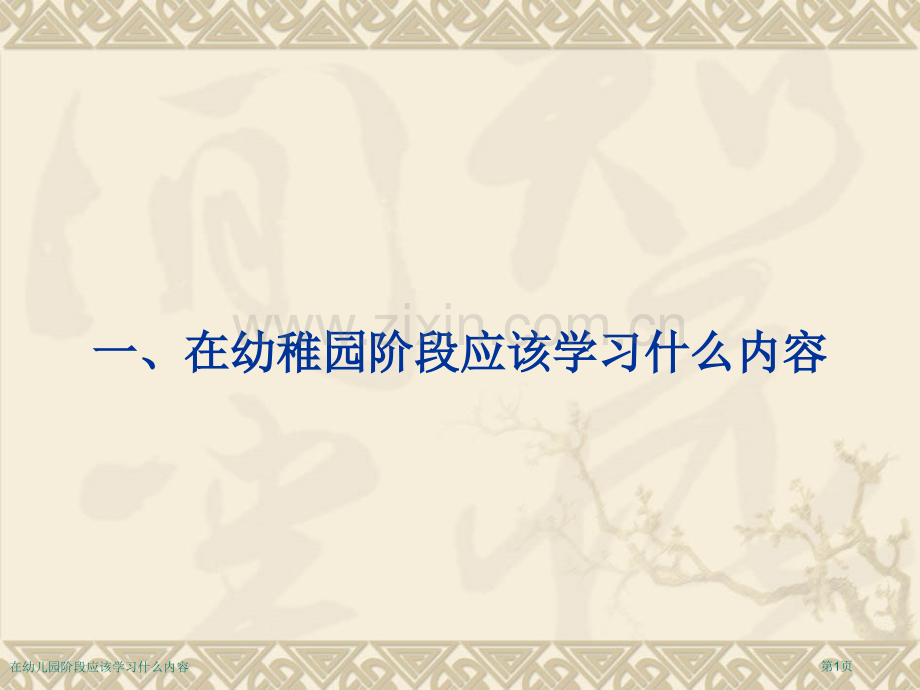 在幼儿园阶段应该学习什么内容专家讲座.pptx_第1页