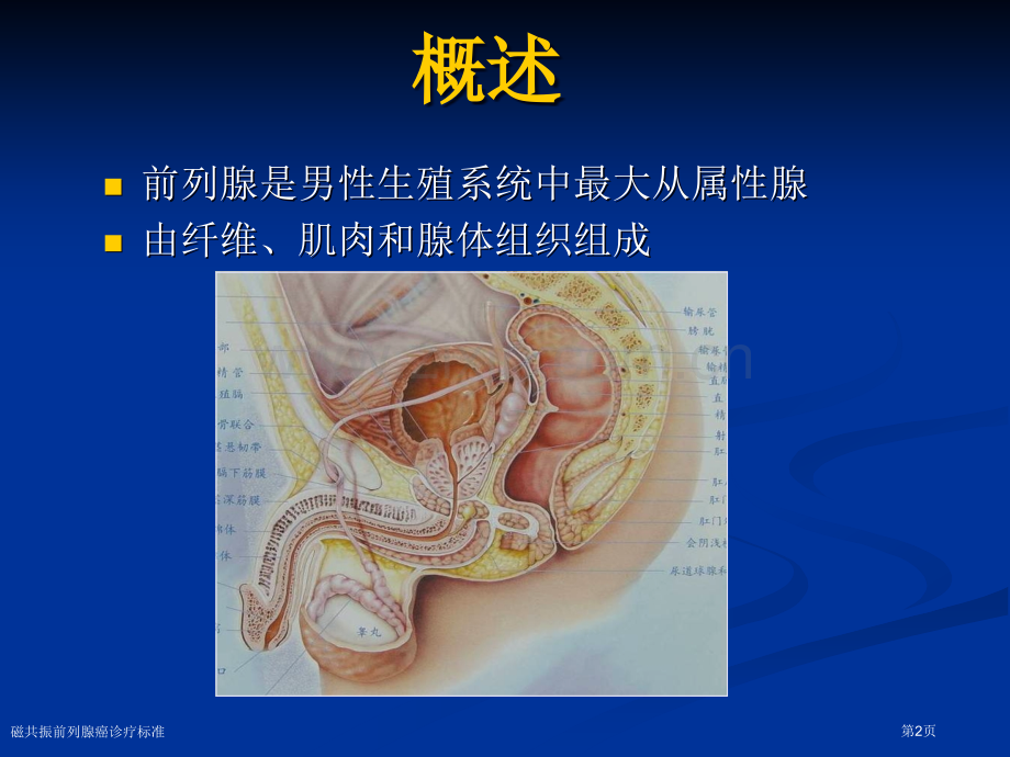 磁共振前列腺癌诊疗标准专家讲座.pptx_第2页