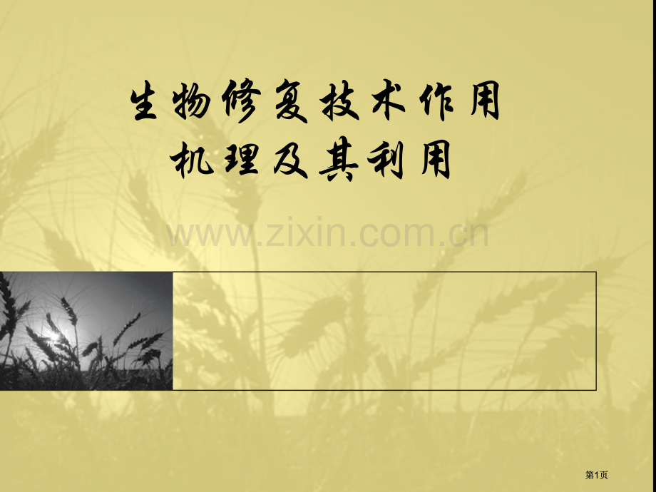 生物修复技术作用机理及其运用市公开课金奖市赛课一等奖课件.pptx_第1页