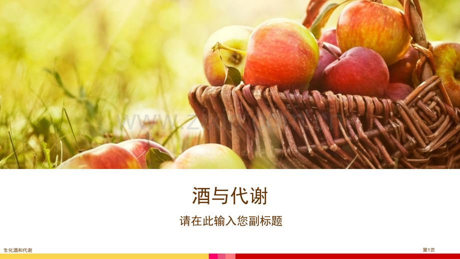 生化酒和代谢专家讲座.pptx_第1页