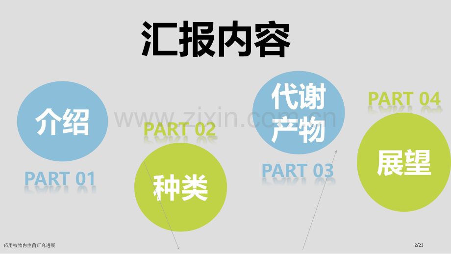 药用植物内生菌研究进展.pptx_第2页