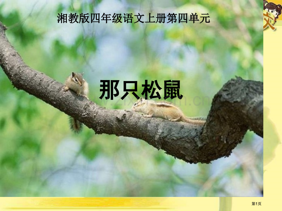 湘教版四年级上册那只松鼠课件市公开课金奖市赛课一等奖课件.pptx_第1页