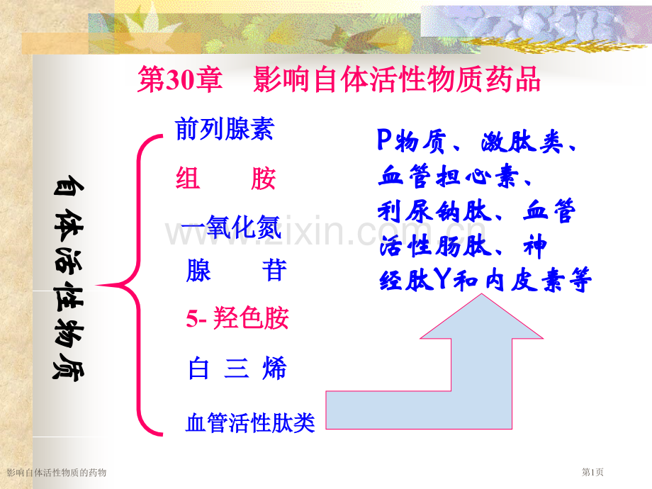 影响自体活性物质的药物专家讲座.pptx_第1页