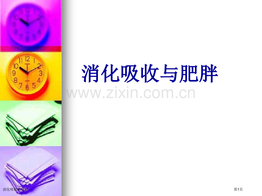 消化吸收和肥胖专家讲座.pptx_第1页