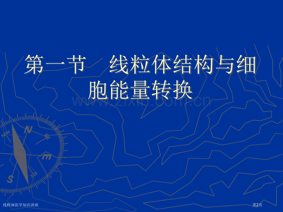 线粒体医学知识讲座专家讲座.pptx_第2页