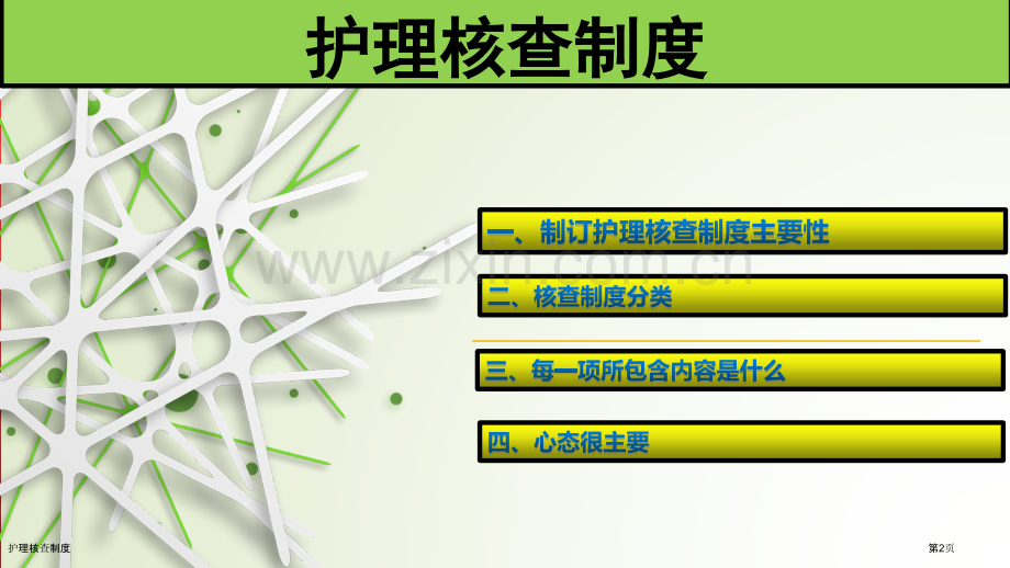 护理核查制度.pptx_第2页