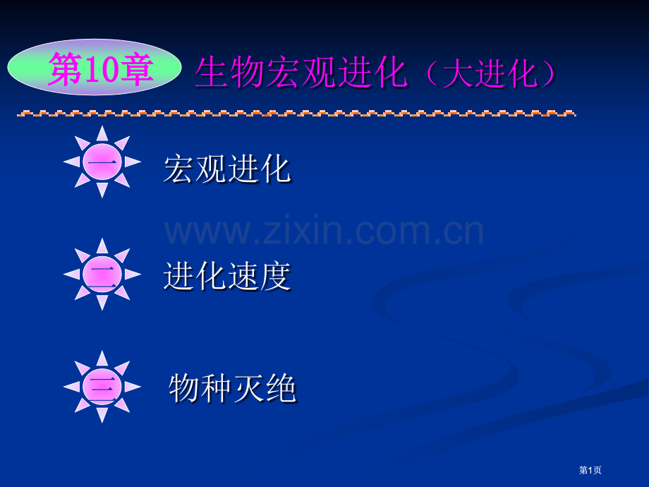 生物的宏观进化公开课一等奖优质课大赛微课获奖课件.pptx_第1页