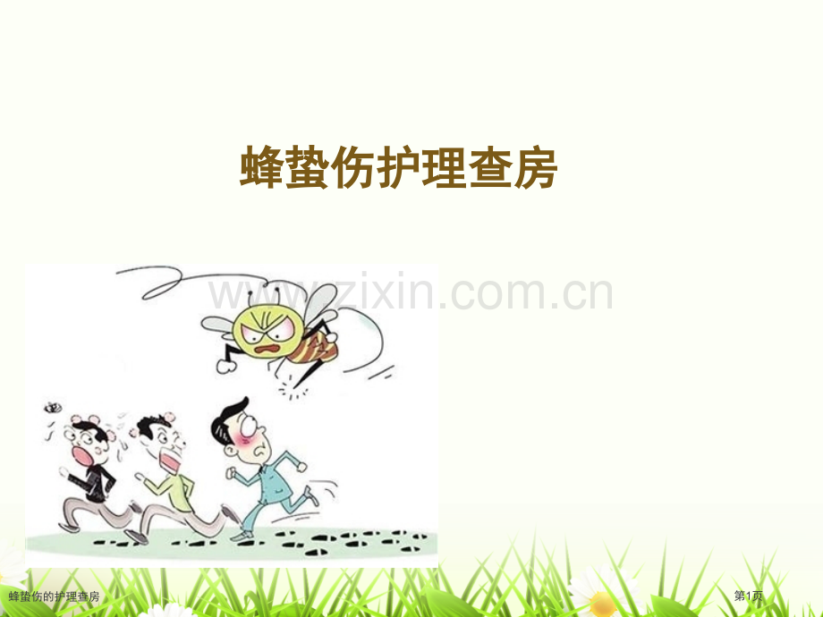 蜂蛰伤的护理查房.pptx_第1页