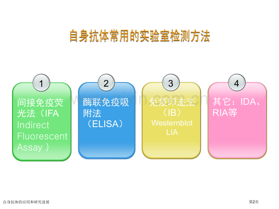 自身抗体的应用和研究进展专家讲座.pptx_第2页