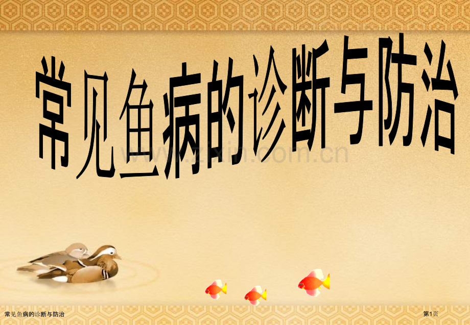 常见鱼病的诊断与防治.pptx_第1页