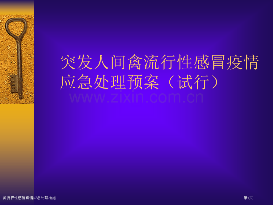 禽流行性感冒疫情应急处理措施.pptx_第1页