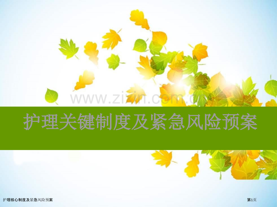 护理核心制度及紧急风险预案.pptx_第1页