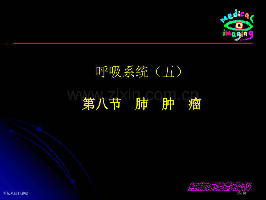 呼吸系统肺肿瘤专家讲座.pptx_第1页