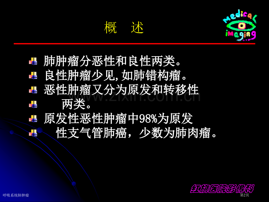 呼吸系统肺肿瘤专家讲座.pptx_第2页