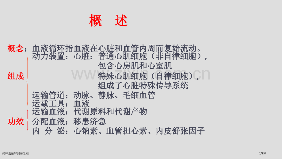 循环系统解剖和生理.pptx_第2页