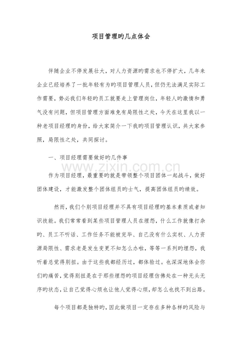 项目管理的几点个人体会.docx_第1页