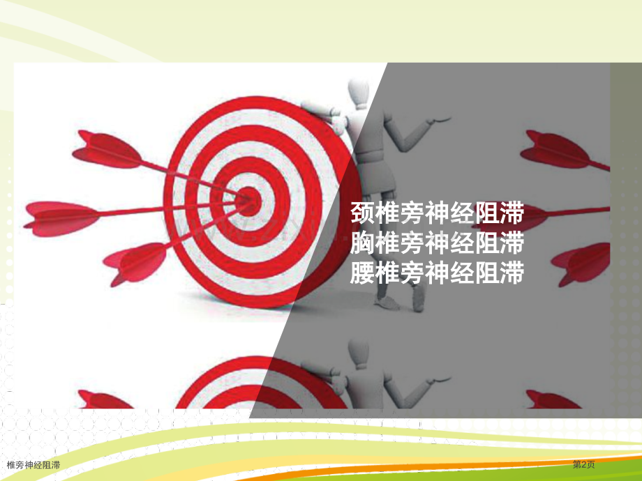 椎旁神经阻滞.pptx_第2页