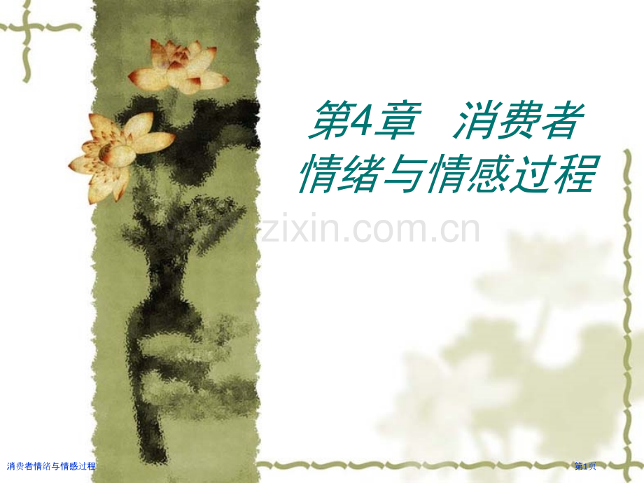 消费者情绪与情感过程.pptx_第1页