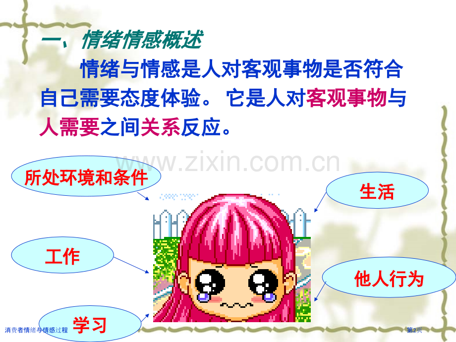 消费者情绪与情感过程.pptx_第2页