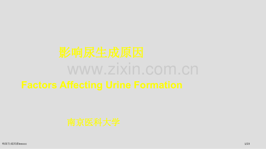 响尿生成因素leecccc.pptx_第1页