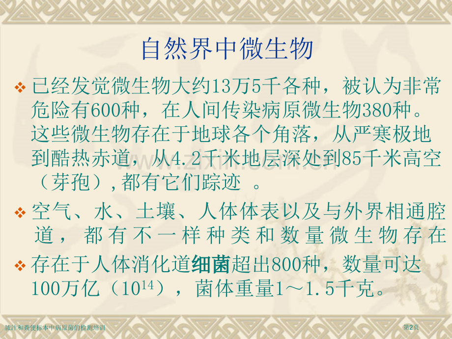 脓汁和粪便标本中病原菌的检测培训专家讲座.pptx_第2页