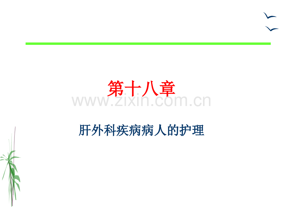 18章门静脉高压症病人的护理详解.pptx_第1页