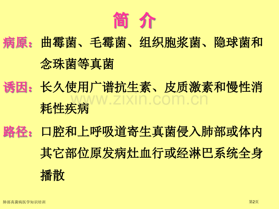 肺部真菌病医学知识培训专家讲座.pptx_第2页