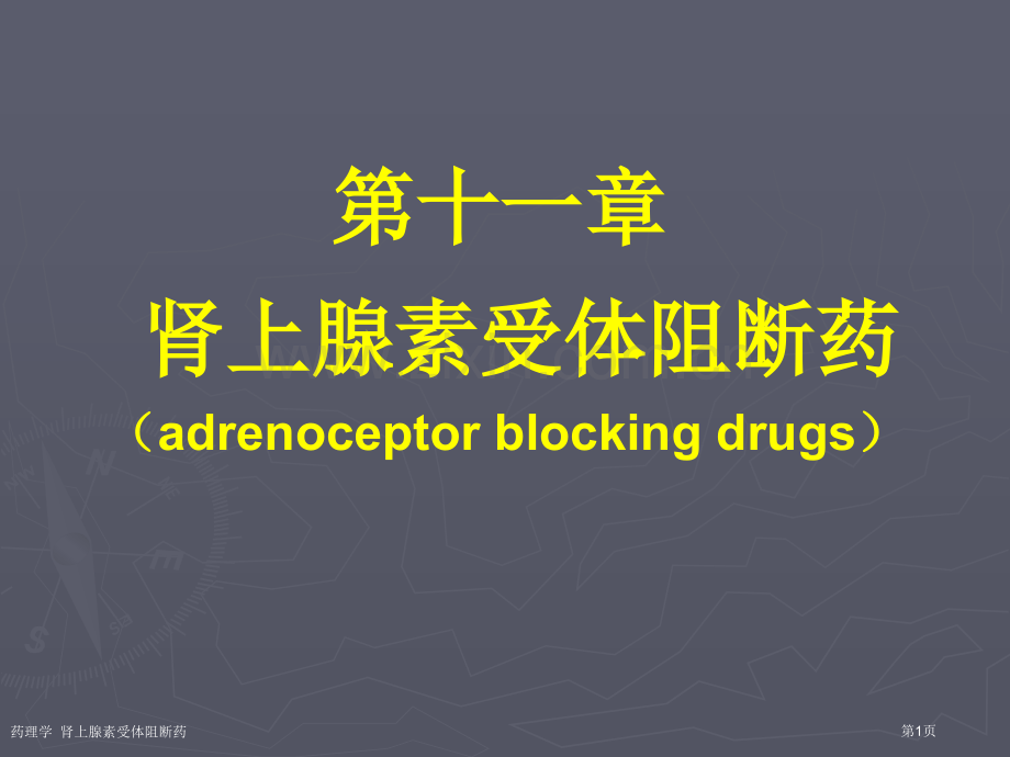 药理学--肾上腺素受体阻断药专家讲座.pptx_第1页