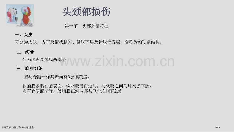头颈部损伤医学知识专题讲座.pptx_第1页