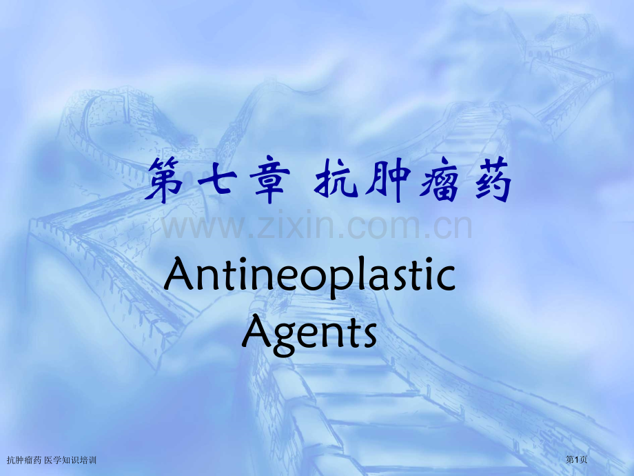 抗肿瘤药-医学知识培训专家讲座.pptx_第1页