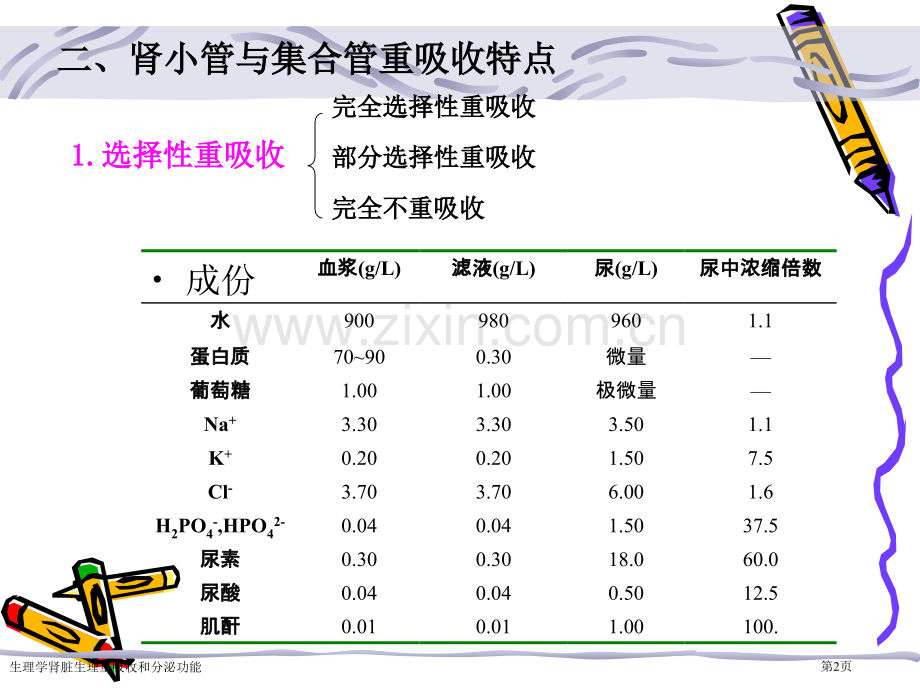 生理学肾脏生理重吸收和分泌功能.pptx_第2页