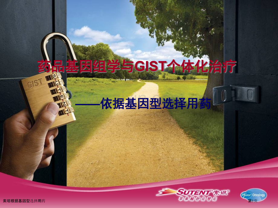 索坦根据基因型选择用药专家讲座.pptx_第1页