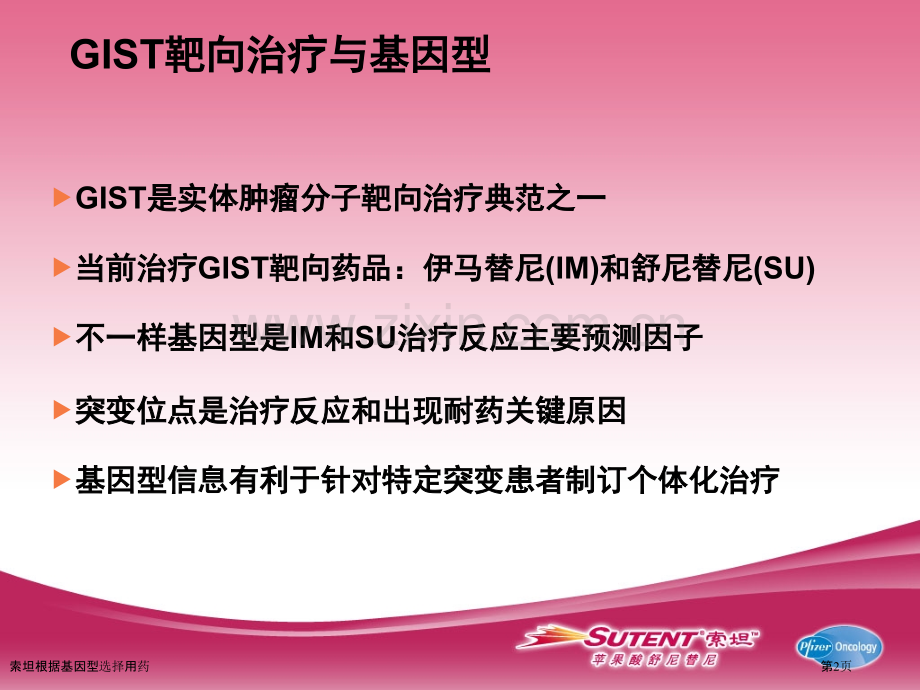 索坦根据基因型选择用药专家讲座.pptx_第2页