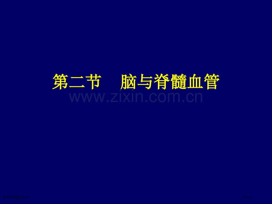 脑和脊髓的血管.pptx_第1页