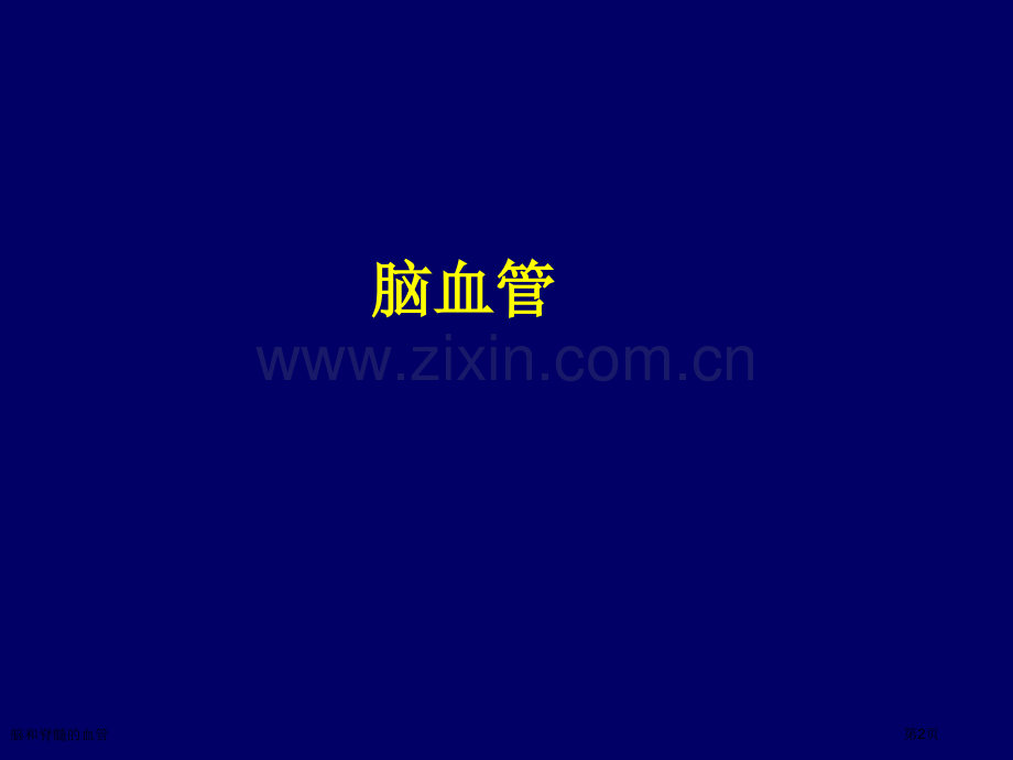 脑和脊髓的血管.pptx_第2页