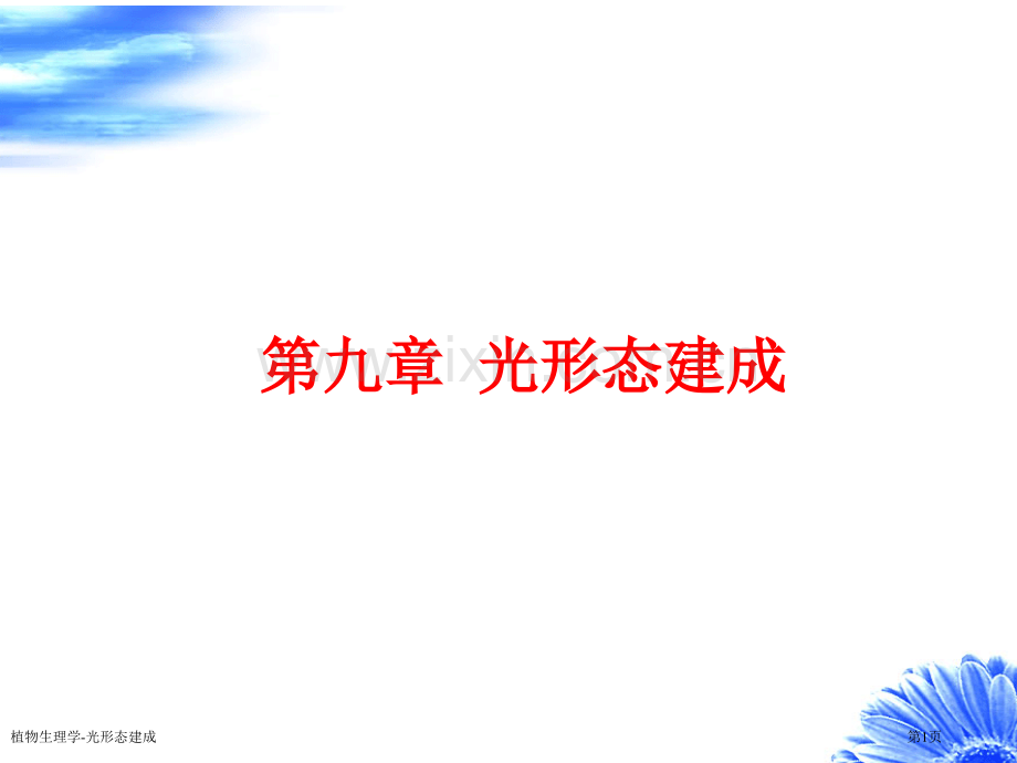 植物生理学-光形态建成专家讲座.pptx_第1页