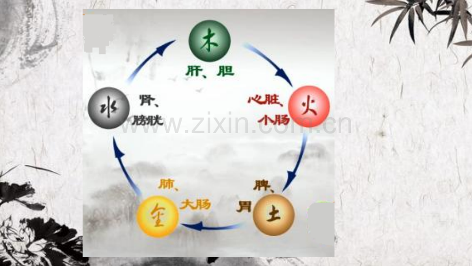 中医五行与营养.pptx_第2页