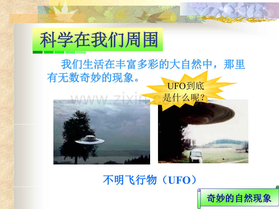 11科学在我们身边15页.pptx_第2页