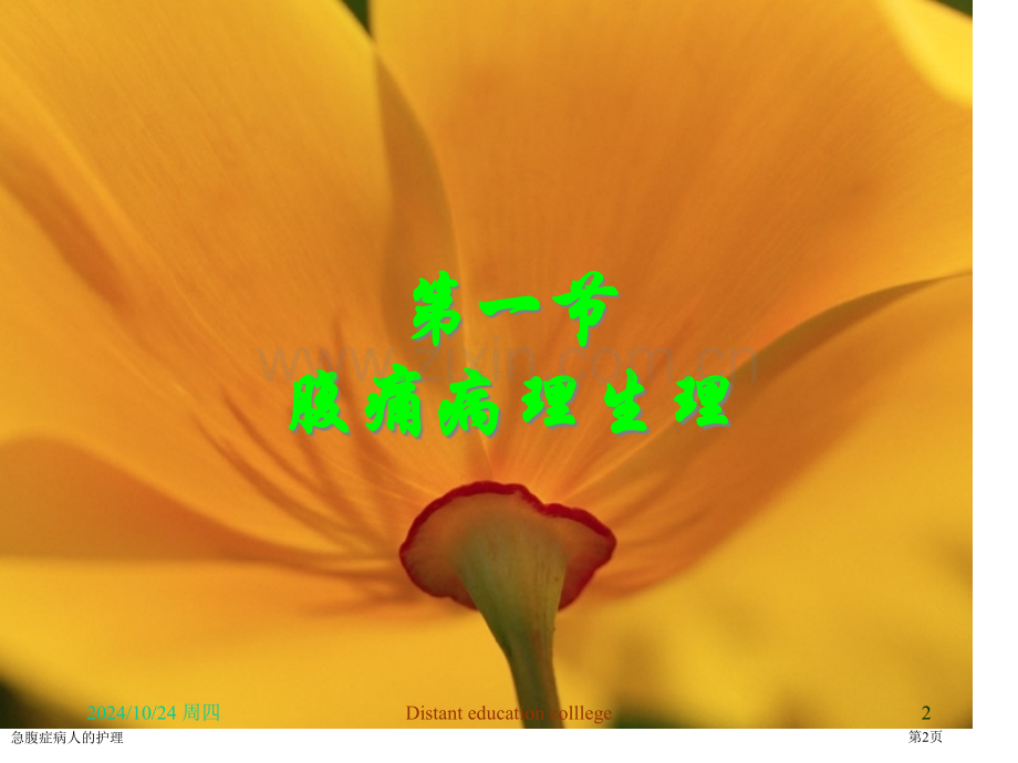 急腹症病人的护理专家讲座.pptx_第2页