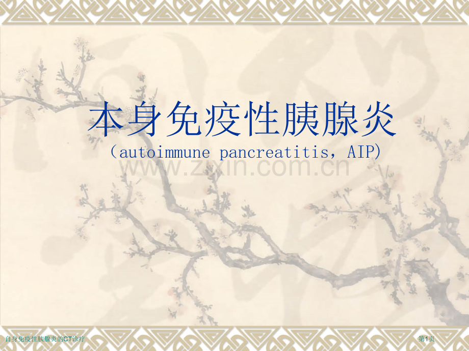 自身免疫性胰腺炎的CT诊疗专家讲座.pptx_第1页