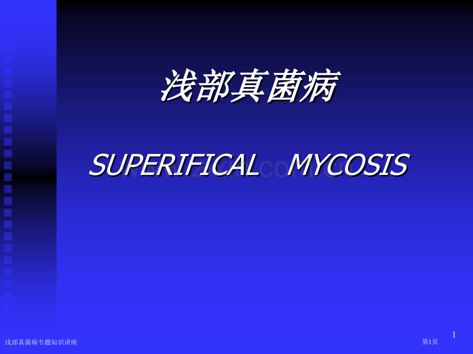浅部真菌病专题知识讲座专家讲座.pptx_第1页
