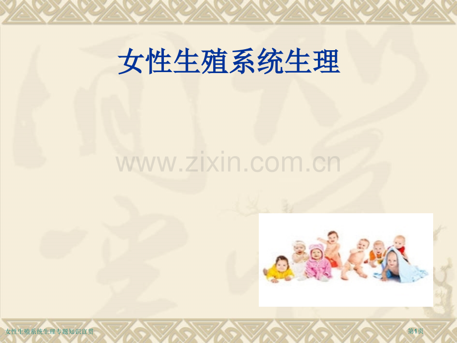 女性生殖系统生理专题知识宣贯专家讲座.pptx_第1页