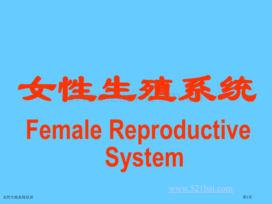 女性生殖系统培训专家讲座.pptx_第1页