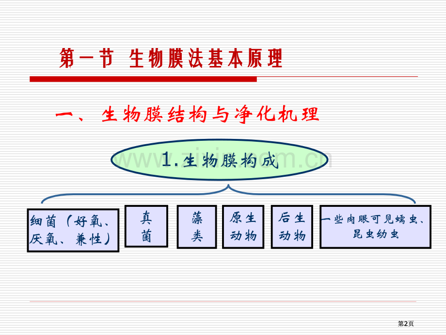 污水的好氧生物处理一生物膜法市公开课金奖市赛课一等奖课件.pptx_第2页