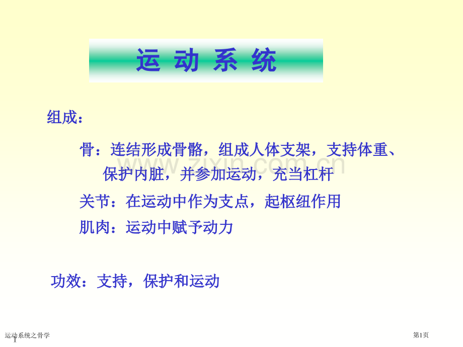 运动系统之骨学专家讲座.pptx_第1页
