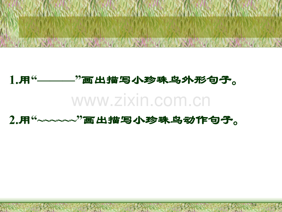 珍珠鸟课件市名师优质课赛课一等奖市公开课获奖课件.pptx_第2页